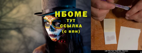 ГАЛЛЮЦИНОГЕННЫЕ ГРИБЫ Алзамай