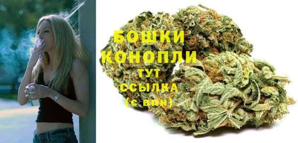 мяу мяу мука Абаза