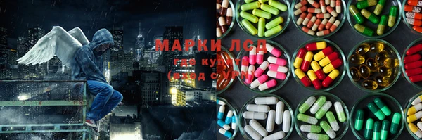 ГАЛЛЮЦИНОГЕННЫЕ ГРИБЫ Алзамай