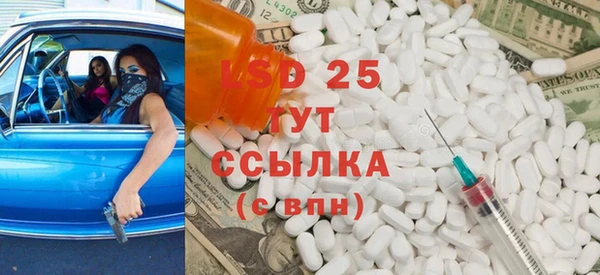 ГАЛЛЮЦИНОГЕННЫЕ ГРИБЫ Алзамай
